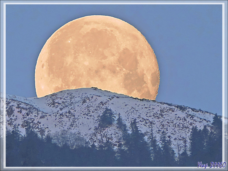 07/04/2023 : coucher de Lune sur le Massif du Gar enneigé vu au lever du jour depuis Lartigau - Milhas - 31