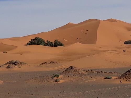 La grande dune