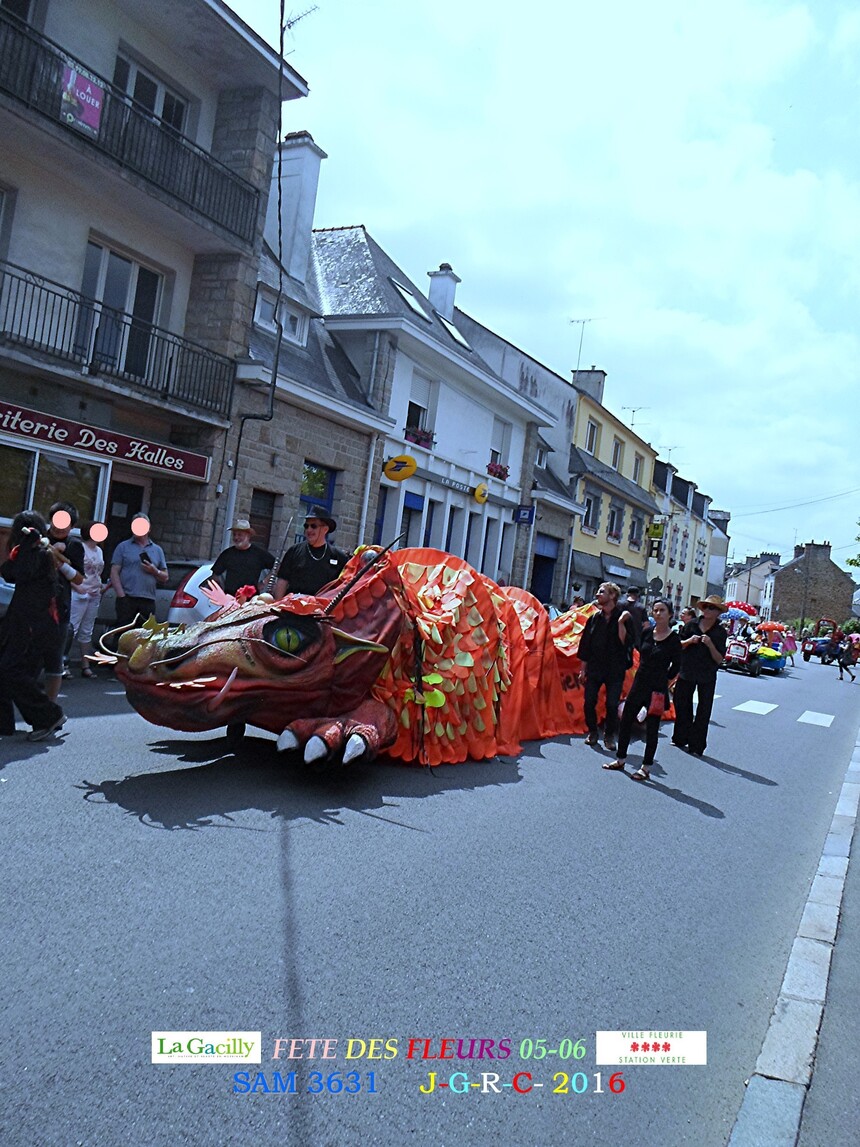 FETE  DES  FLEURS    4/9          D    27/09/2016