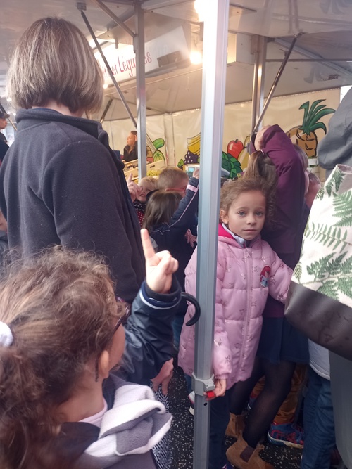 A la découverte des fruits et légumes d'automne au marché de Trun pour les CP