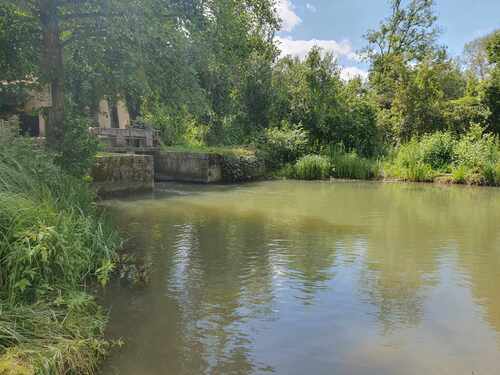 CR RANDO CIRCUIT DES MOULINS ROGEVILLE. 22/07/2024