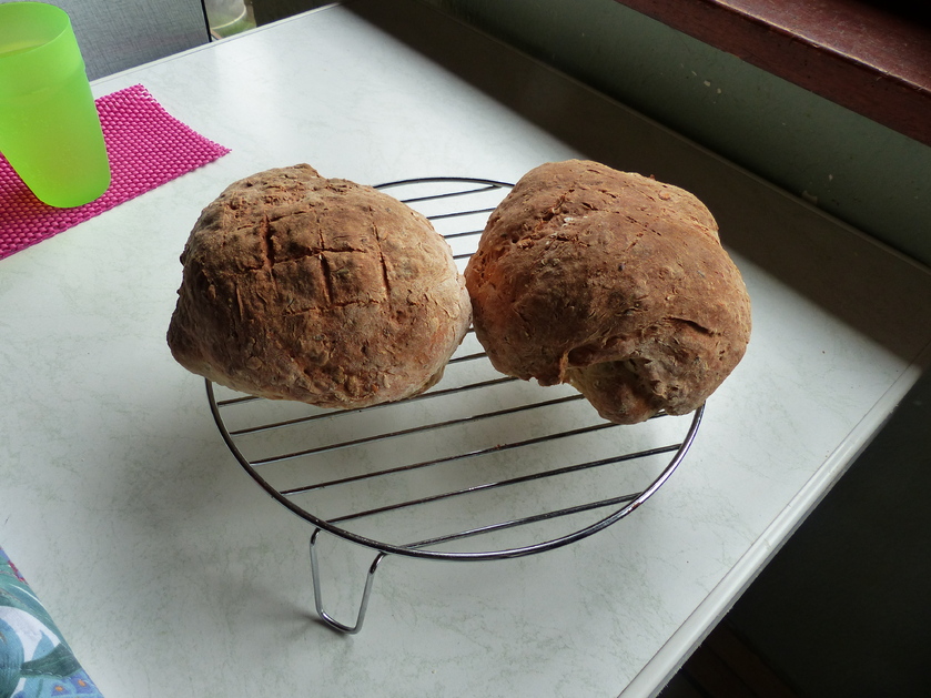 Mes deux premiers pains