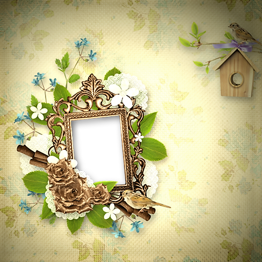 ۩ Vintage frame