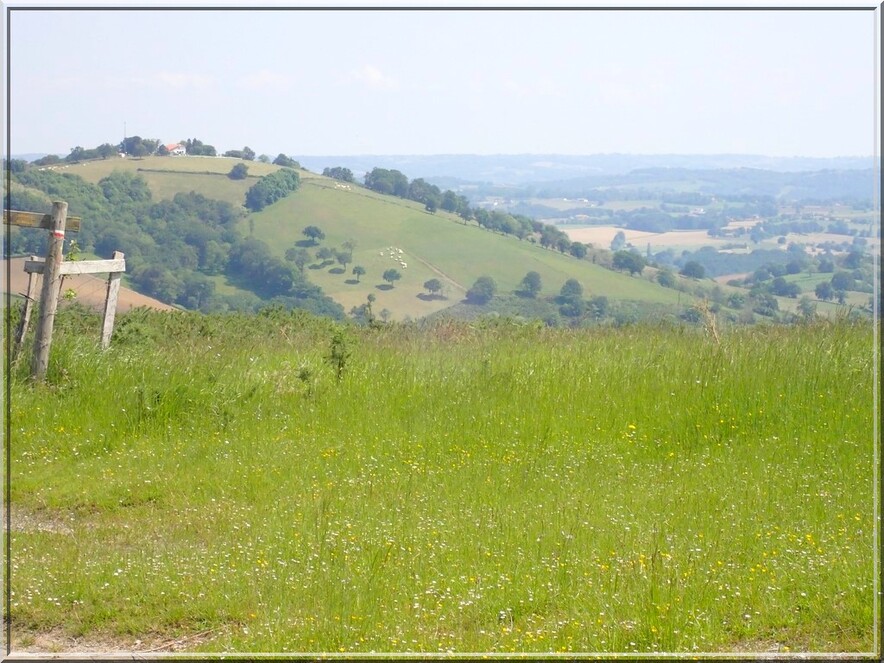 922 - Suite23 : -Notre Chemin vers St Jacques de Compostelle à travers ses anecdotes-