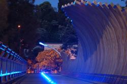 Onepoto bridge: landscape poetry (Auckland, New-Zealand)