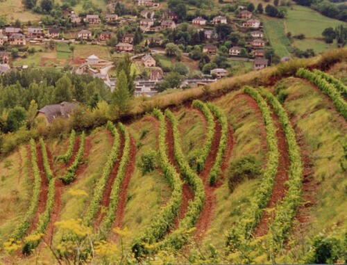 2002 Le renouveau des vignobles de montagne en Europe de l'Ouest