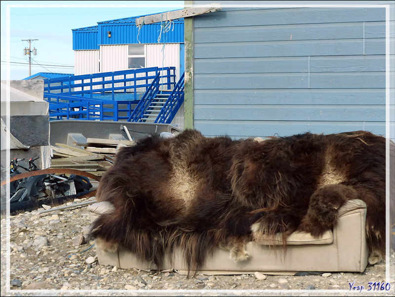 Des peaux de bêtes aux Ski-Doo - Gjoa Haven - King William Island - Nunavut - Canada