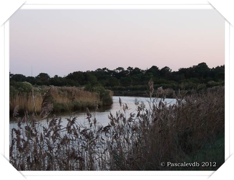 Coucher de soleil sur Le Teich - 5/5