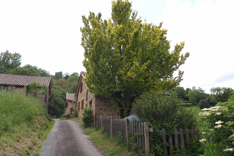 La campagne Beaujolaise...