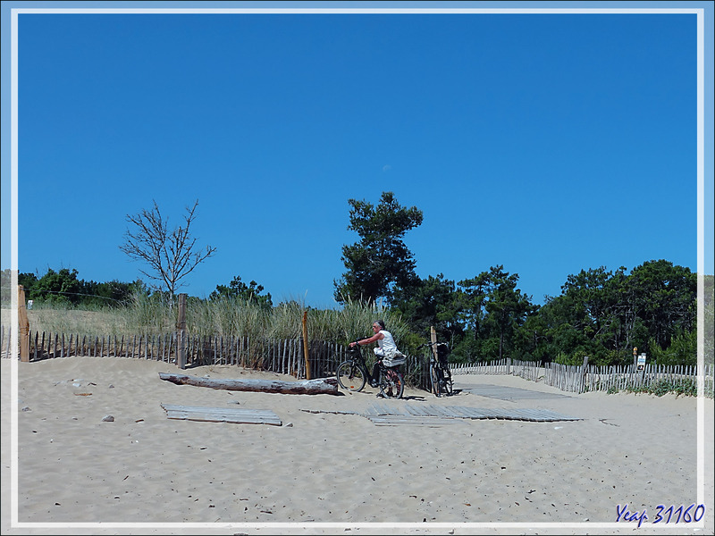 A la Plage de Trousse-Chemise - Les Portes-en-Ré - Île de Ré - 17