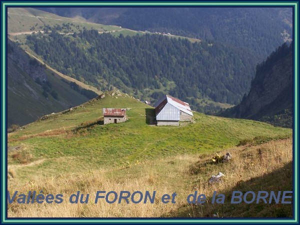 39- Foron en haut