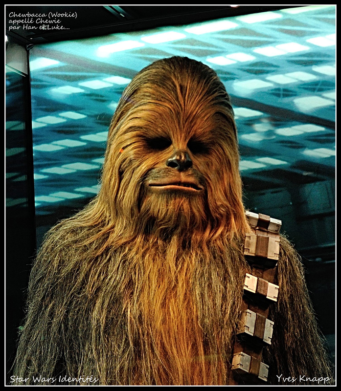 Chewbacca:Wouuuuuarrrrh..Luke:moi aussi je suis content de te revoir Chewie....