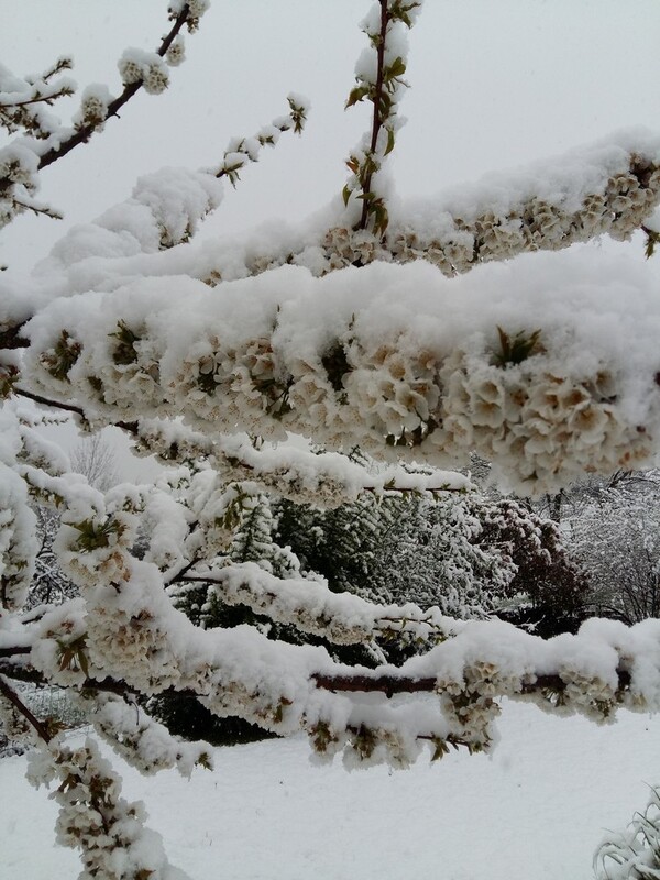 Caprices de la météo