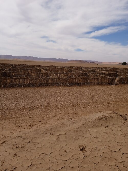 De l'oasis El Mharech à Zagora