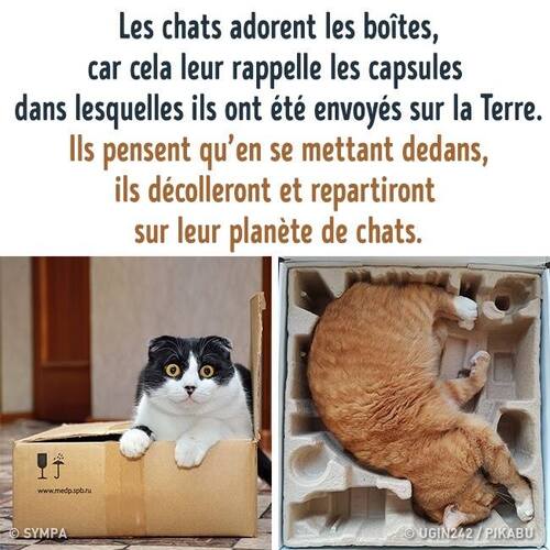 L'explication !