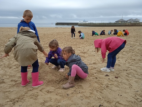 Sortie scolaire Quiberon