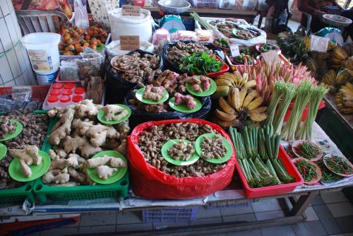 Mercredi 17 juillet Rendez-vous en terre inconnue chez les Iban