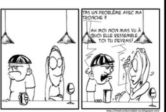 http://lancien.cowblog.fr/images/Caricatures1/salegueule.jpg