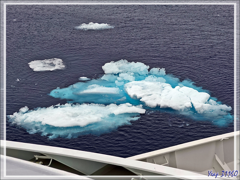 10/07/2024 après-midi : navigation dans la zone des Sjuøyane (Sept îles) à la recherche d'un peu de banquise - Svalbard - Norvège