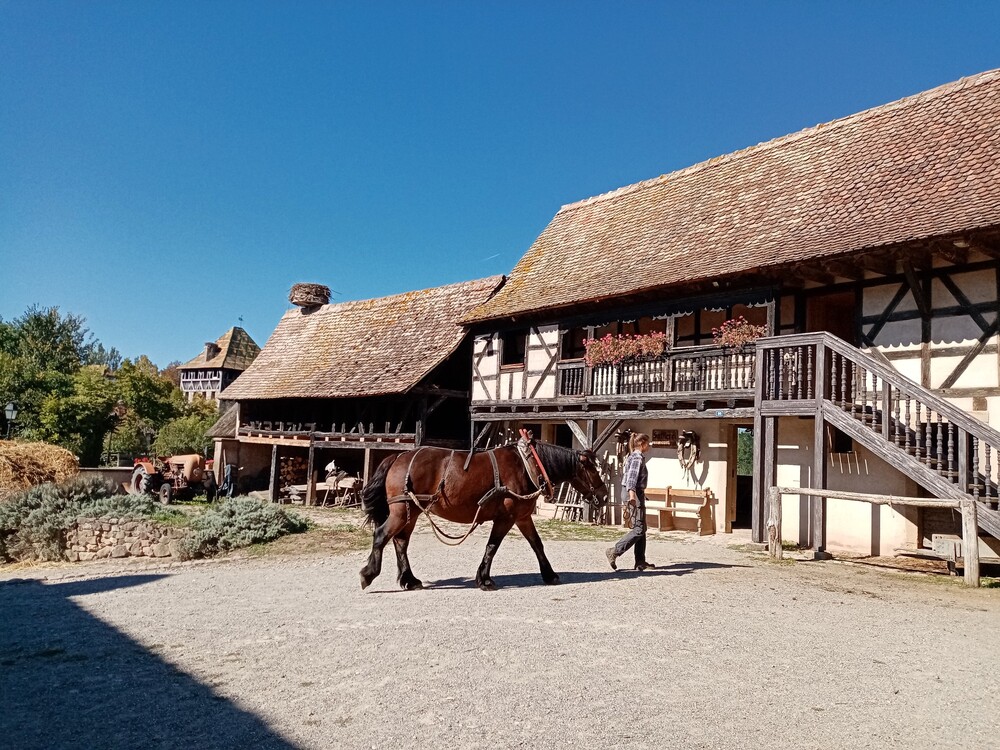 Écomusée d’Alsace (1)  Ungersheim - Haut Rhin