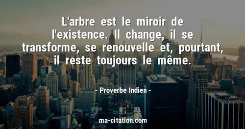 citation 