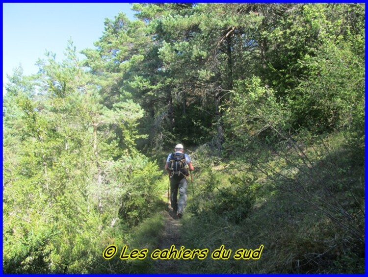 Gorges du Tarn, les échelles du rocher Cinglegros