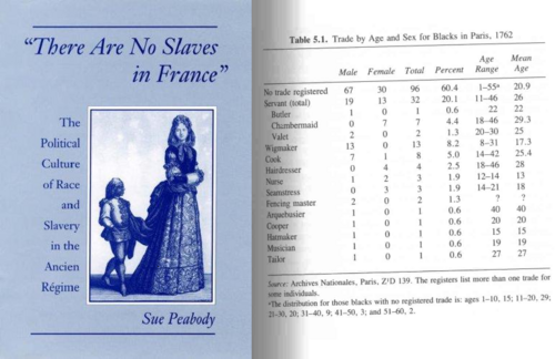 L'esclavage en France (7) : Les données du recensement