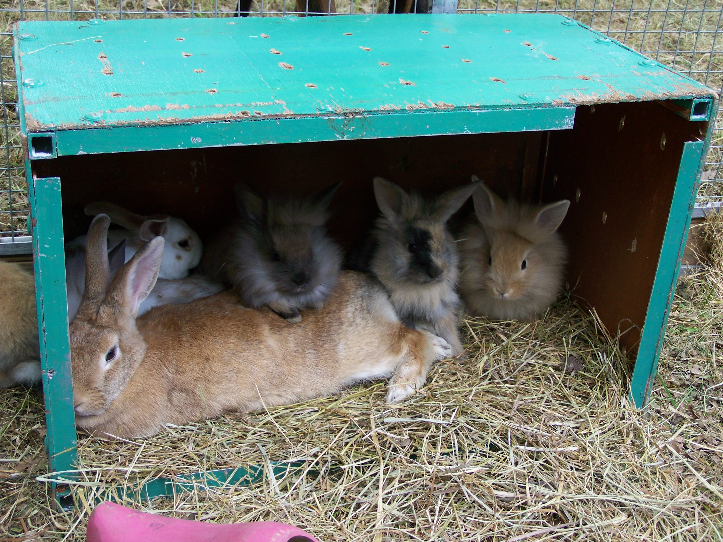 rencontre avec rocamadour
