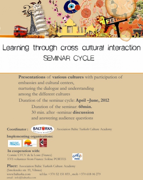 Learning through cross cultural interaction
