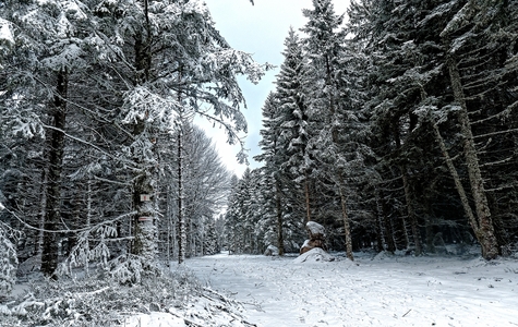 Séjour Super-Besse du 13 au 20 janvier 2019