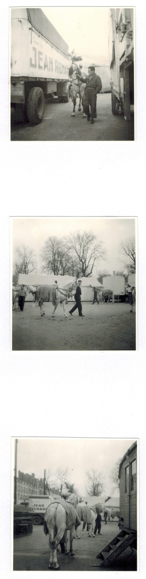 Le cirque-Zoo Jean Richard à Nancy en 1958 ( direction Alexis et André Gruss)