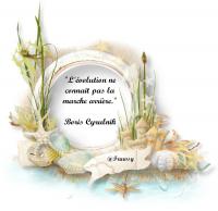 Citation De Boris Cyrulnik Un Renouveau Constant Frawsy