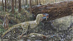 Les tyrannosaures étaient-ils cannibales ? Le crâne d'un cousin du T.rex pourrait le confirmer.  