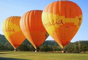 season balloons australia kangaroos koalas