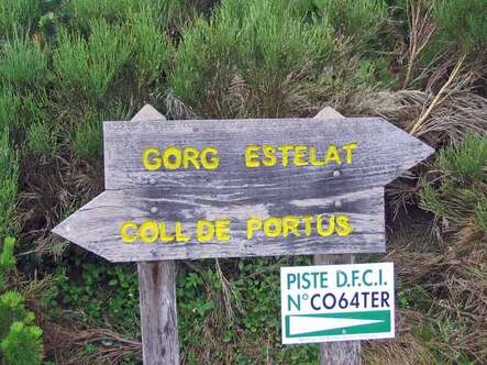 Des merveilles au pays d'Alysse - Le Tour du Coronat - 1er jour - Jujols (940 m) - L'Estany del Clot (1.635 m) par le Col du Portus (1.736 m)-16 kms.