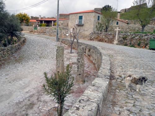 CASTELO BOM...