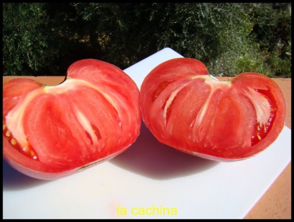 tomates-geantes--21-.JPG