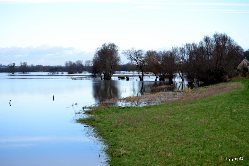 Le marais de la Fiere