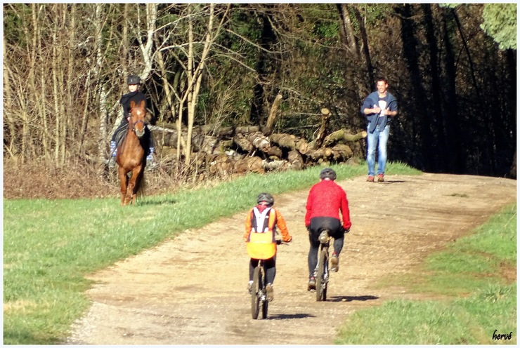 Le sentier du ruisseau 2/2