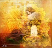 Mes tutoriels PS 2019