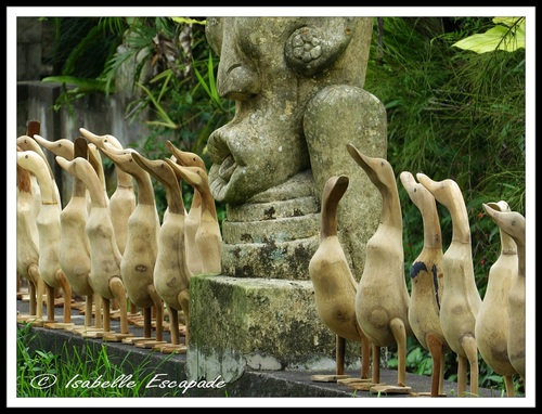 06 Août 2014 - Ubud... les rizières toujours trop belles...