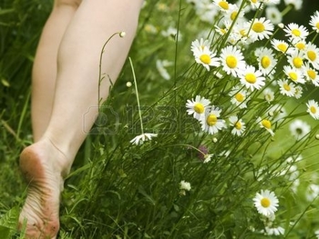 468469-woman-bare-foot-walking-in-meadow-daisies