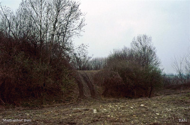 LES REMPARTS DE MONTISAMBERT (Orne)