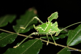 Costa Rica, les minuscules 