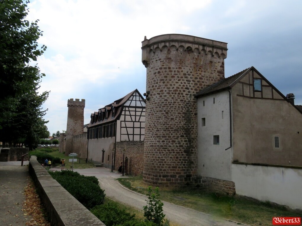 Fin de la visite d'Obernai  !