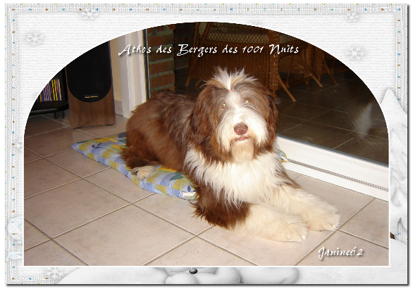 Athos Athos
