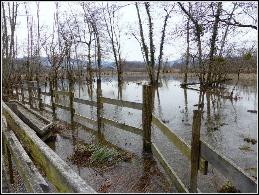 Le Marais de Lavours, après le mauvais temps !!