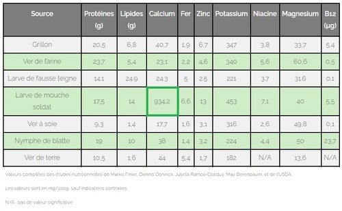 petites bêtes dans nos assiettes