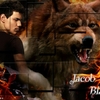 Twilight_Saga_Jacob_Black_by_IvonkaMata.jpg