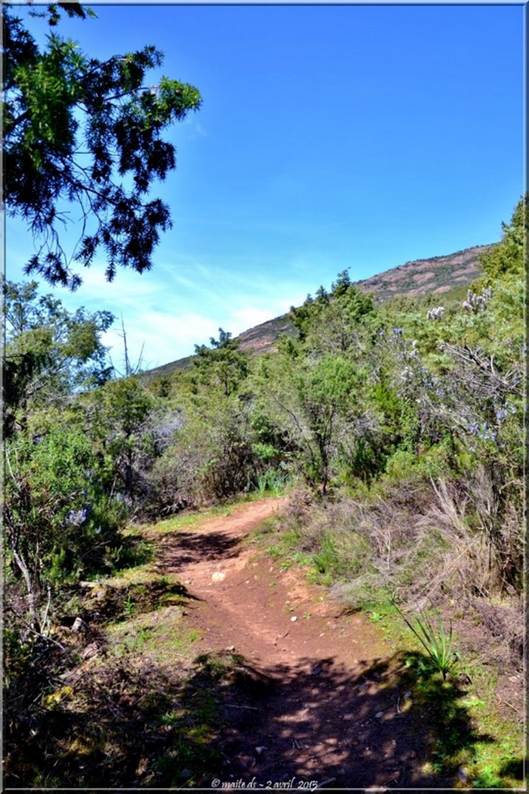 Sentier le long du Fango - Corse